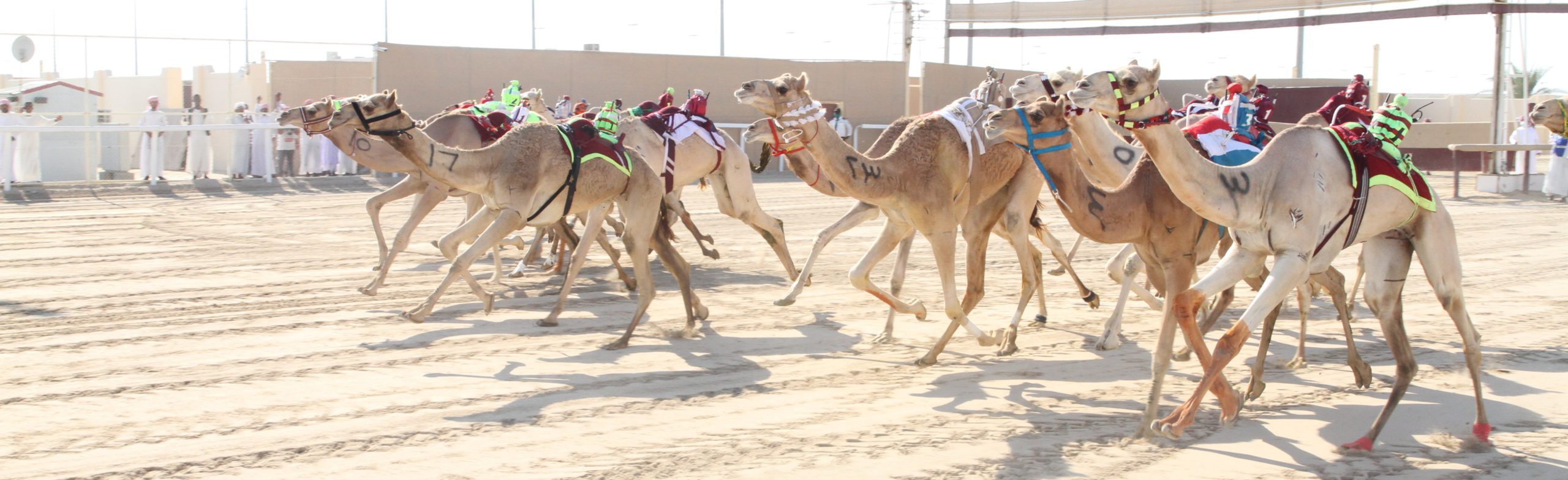 التسجيل للمحلي السادس يبدأ الأحد 20 ديسمبر