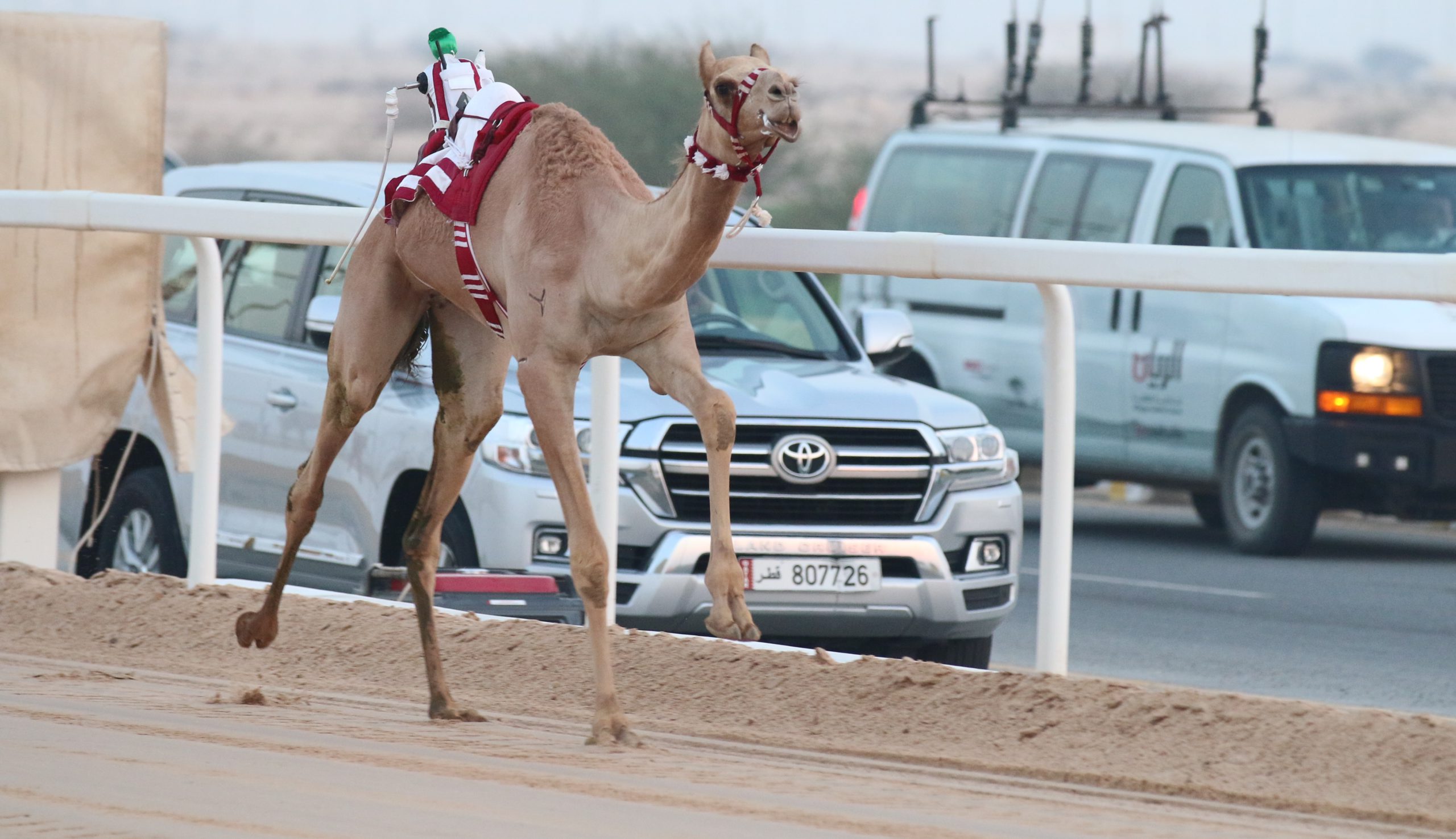 شعار الشيخ عبدالعزيز بن حمد يسيطر على ناموسي الحقايق مفتوح