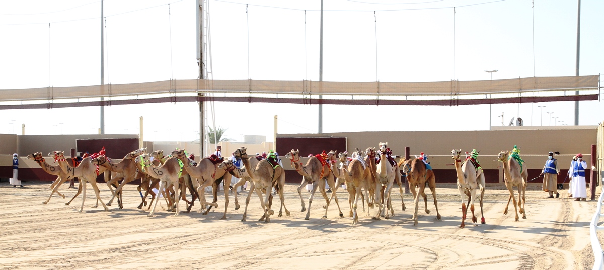 سباق التميز التأهيلي الأول للمفاريد ينطلق الثلاثاء