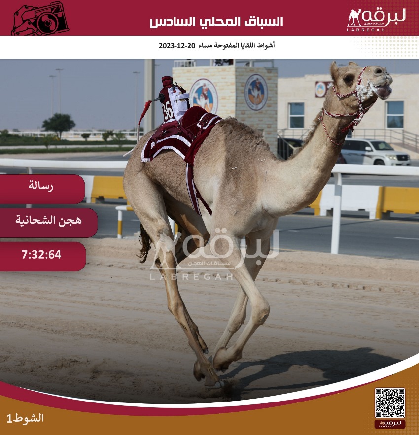 منافسة شرسة بين الشحانية وأم الزبار على أقوى نواميس اللقايا