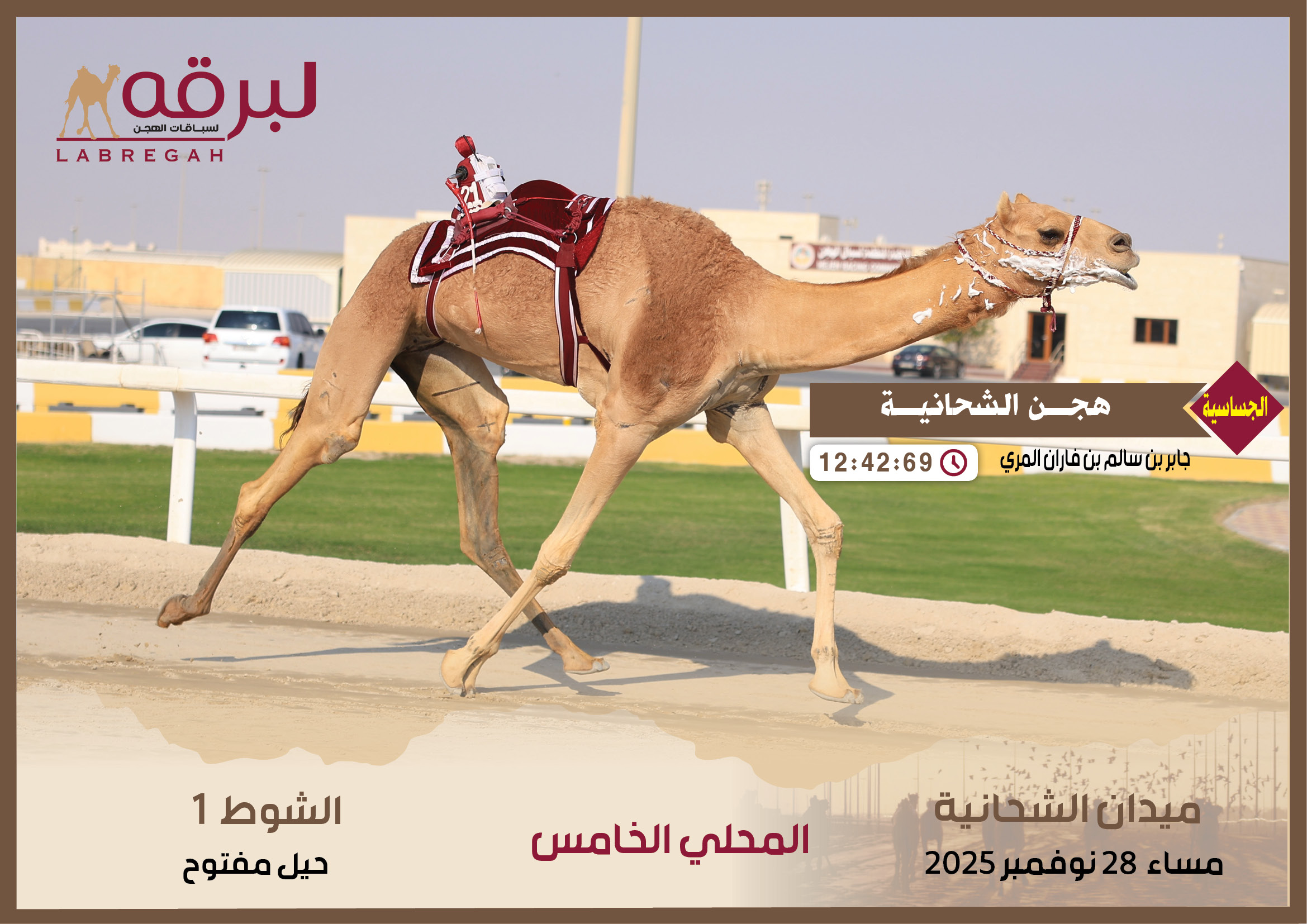 هجن الشحانية تسدل الستار على منافسات المحلي الخامس بانتزاعها ناموسي الحيل والزمول