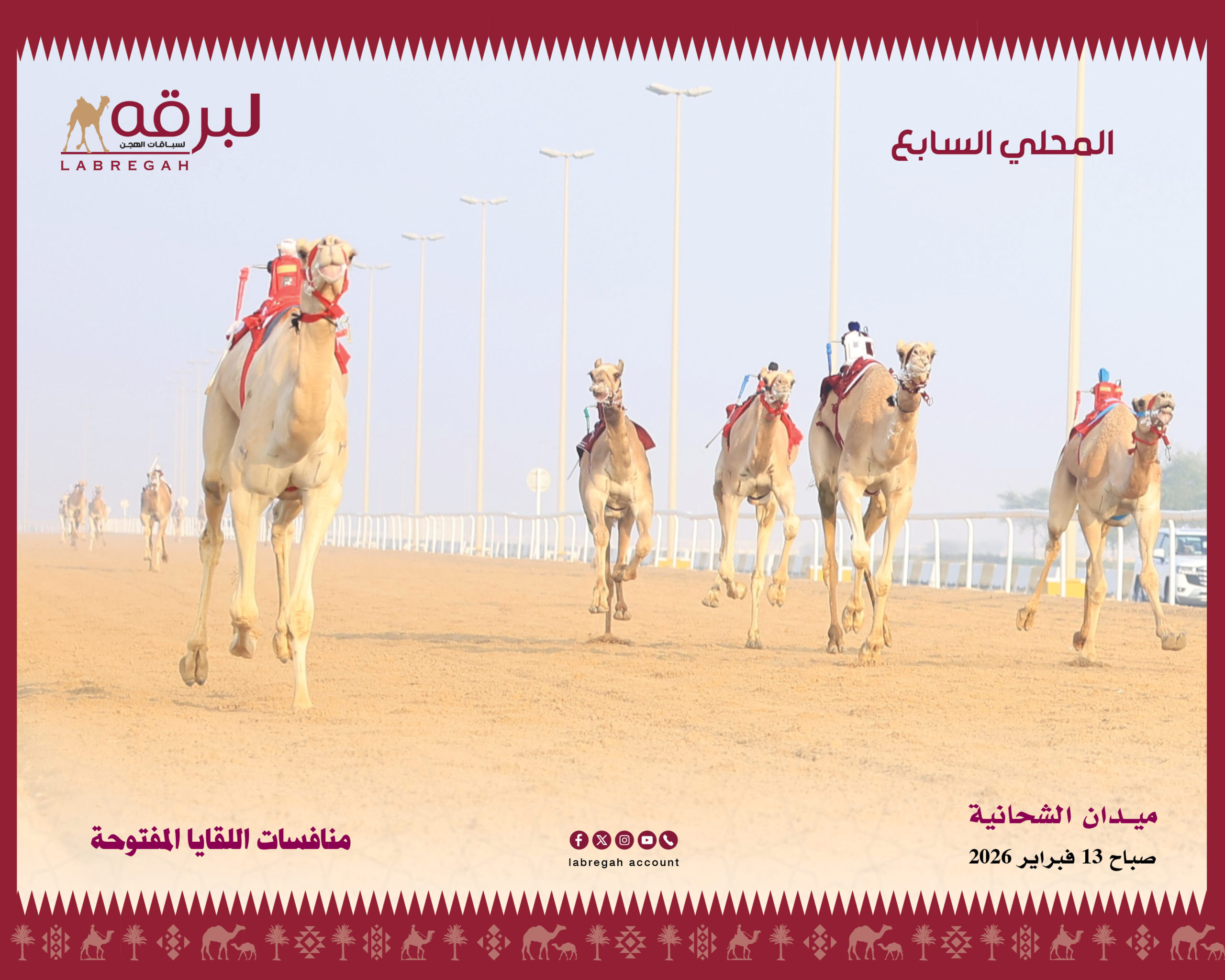 هجن الرئاسة تظفر بناموسي اللقايا في انطلاقة المحلي السابع