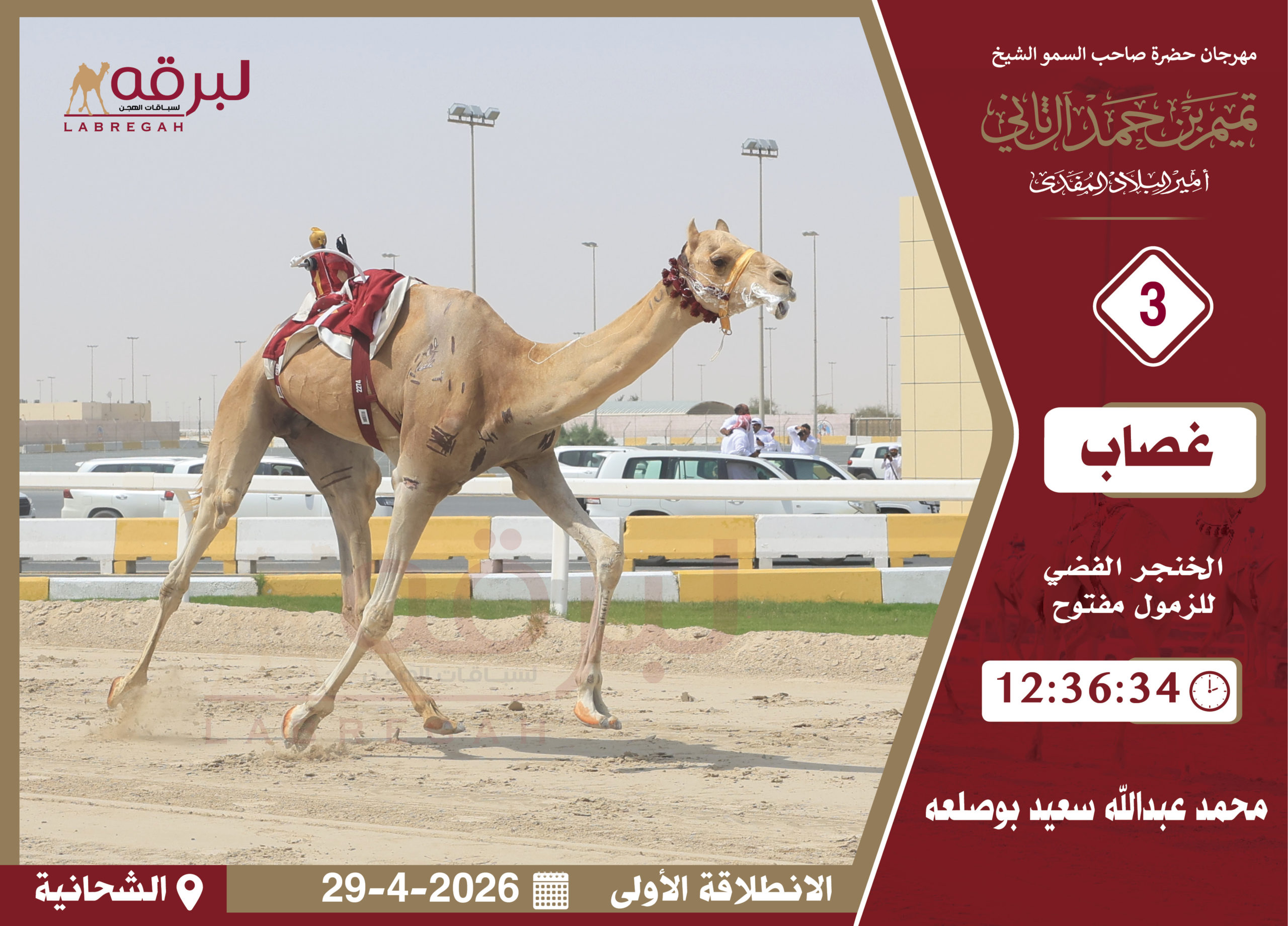 محمد عبدالله بوصلعه يغرد بخنجر الزمول مفتوح